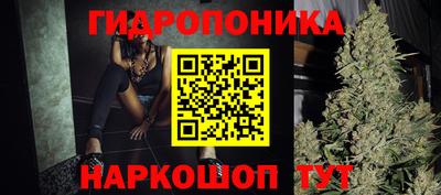 СК Дубна