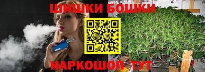 СК Дубна