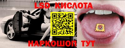 прущие грибы Донецк