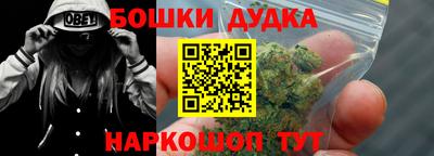 СК Дубна